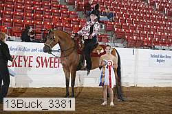 13buck_3381 proof