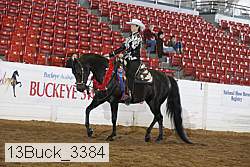 13buck_3384 proof