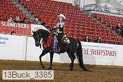 13buck_3385 proof