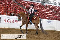 13buck_3388 proof