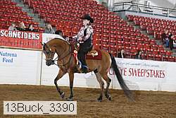 13buck_3390 proof