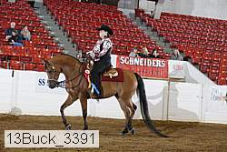 13buck_3391 proof