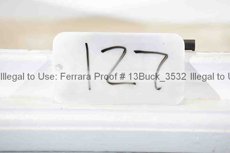 Proof 13buck_3532