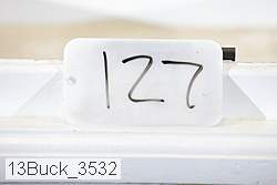 13buck_3532 proof