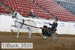 13buck_3533 proof