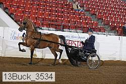 13buck_3534 proof