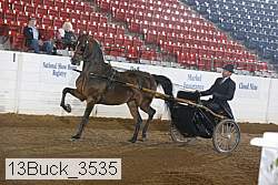 13buck_3535 proof