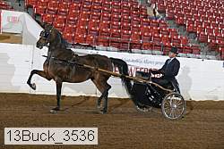 13buck_3536 proof