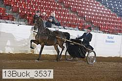 13buck_3537 proof