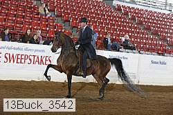 13buck_3542 proof