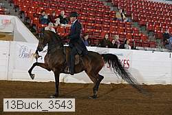 13buck_3543 proof