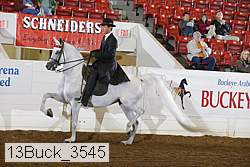 13buck_3545 proof