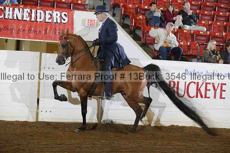 Proof 13buck_3546