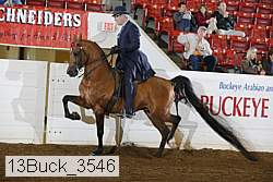13buck_3546 proof