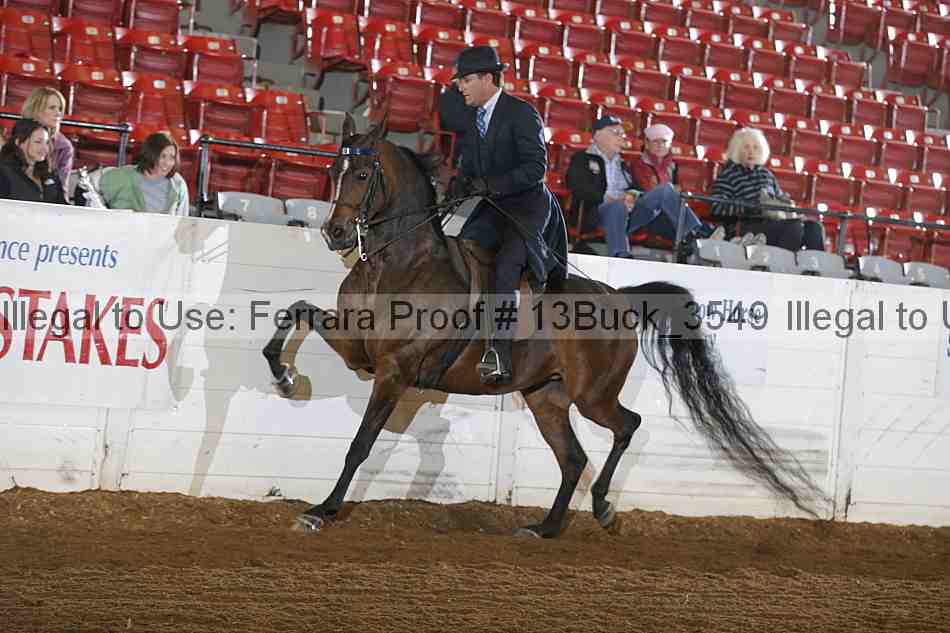 Proof 13buck_3549