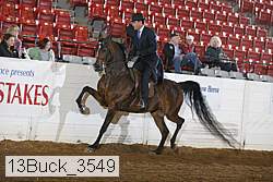 13buck_3549 proof