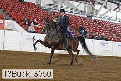 13buck_3550 proof