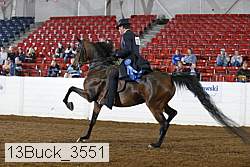 13buck_3551 proof
