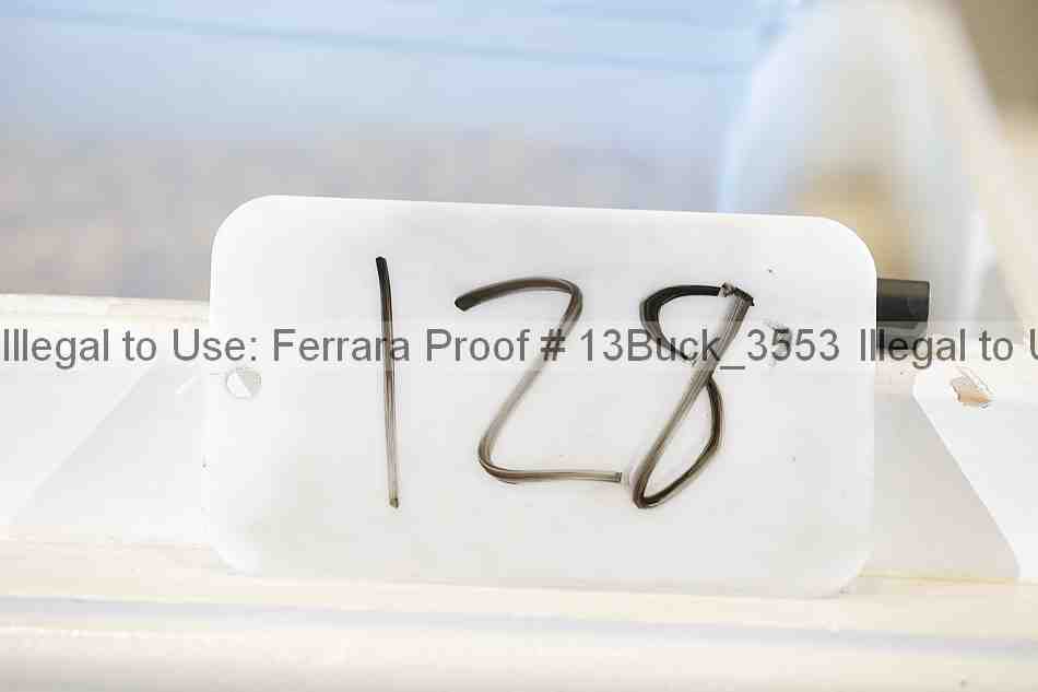 Proof 13buck_3553