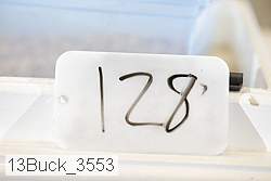13buck_3553 proof