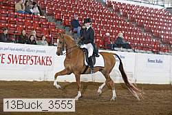 13buck_3555 proof