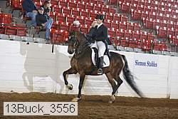 13buck_3556 proof
