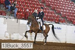 13buck_3557 proof