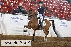 13buck_3563 proof