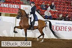 13buck_3564 proof