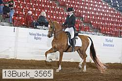 13buck_3565 proof