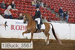 13buck_3567 proof