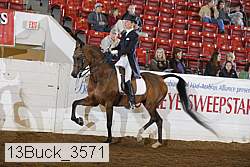 13buck_3571 proof