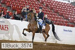 13buck_3574 proof