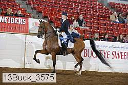 13buck_3575 proof