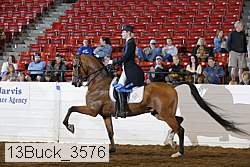 13buck_3576 proof