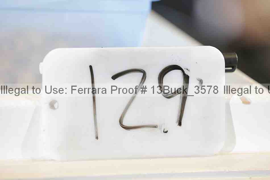 Proof 13buck_3578