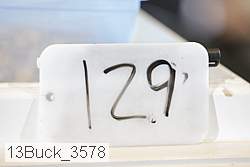 13buck_3578 proof