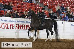 13buck_3579 proof