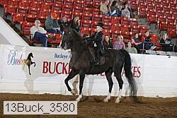 13buck_3580 proof