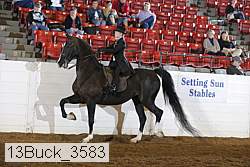 13buck_3583 proof