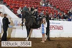 13buck_3584 proof