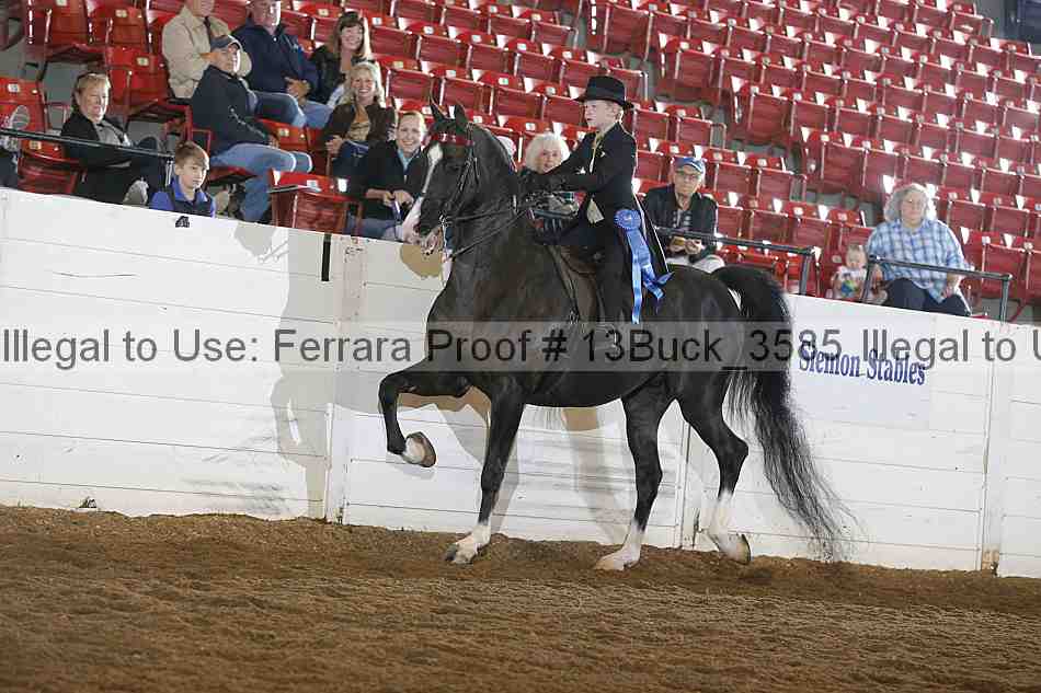 Proof 13buck_3585