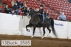 13buck_3585 proof