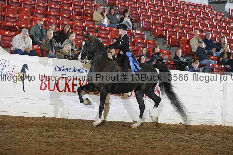 Proof 13buck_3586