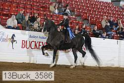 13buck_3586 proof