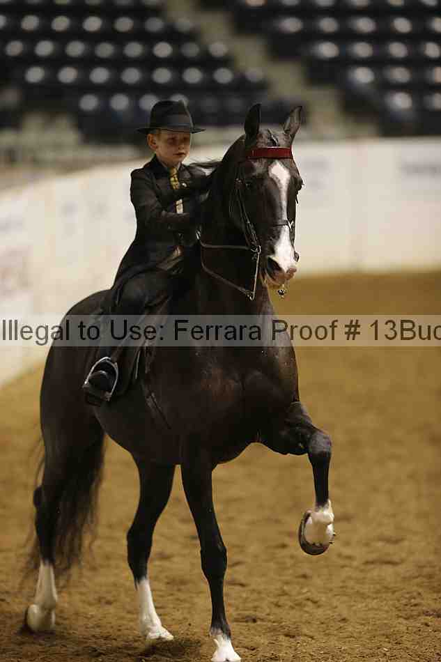 Proof 13buck_3589