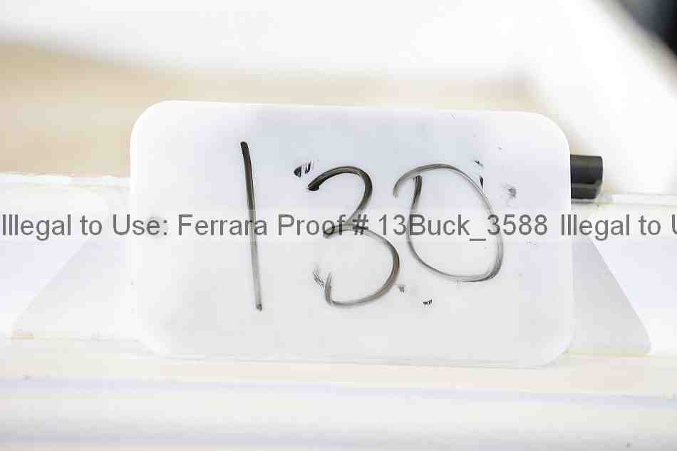 Proof 13buck_3588