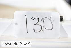 13buck_3588 proof