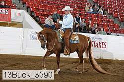 13buck_3590 proof