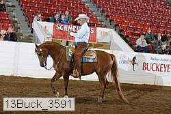 13buck_3591 proof